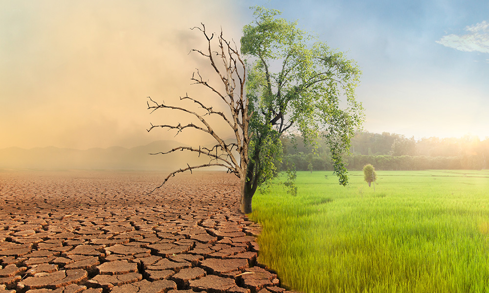 Climate-Change3_1000x600-1.jpg