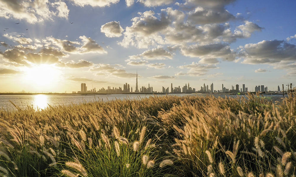 KEO-Sustainability2_1000x600-1.jpg