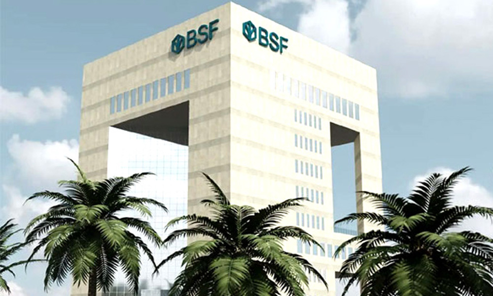 BSF-1.jpg