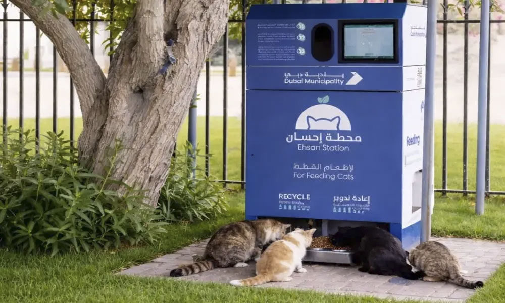 Dubai-Municipality-launches-‘Ehs-1.jpg